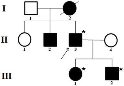 Familial Normokalemic Periodic Paralysis Associated With Mutation in the SCN4A p.M1592V